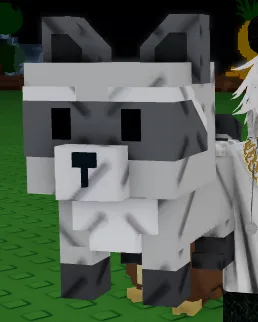 Raccoon (Super)