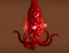 Ruby Squid