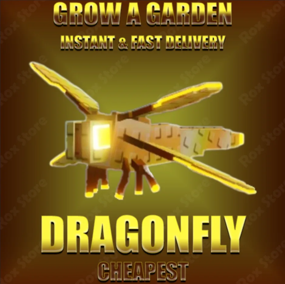 Golden Dragonfly — Account account