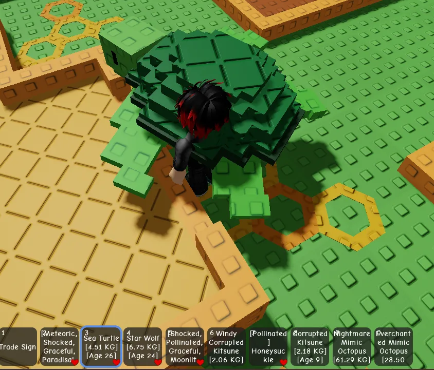 Sea Tortle 3kg14 and 4kg51 — Account account