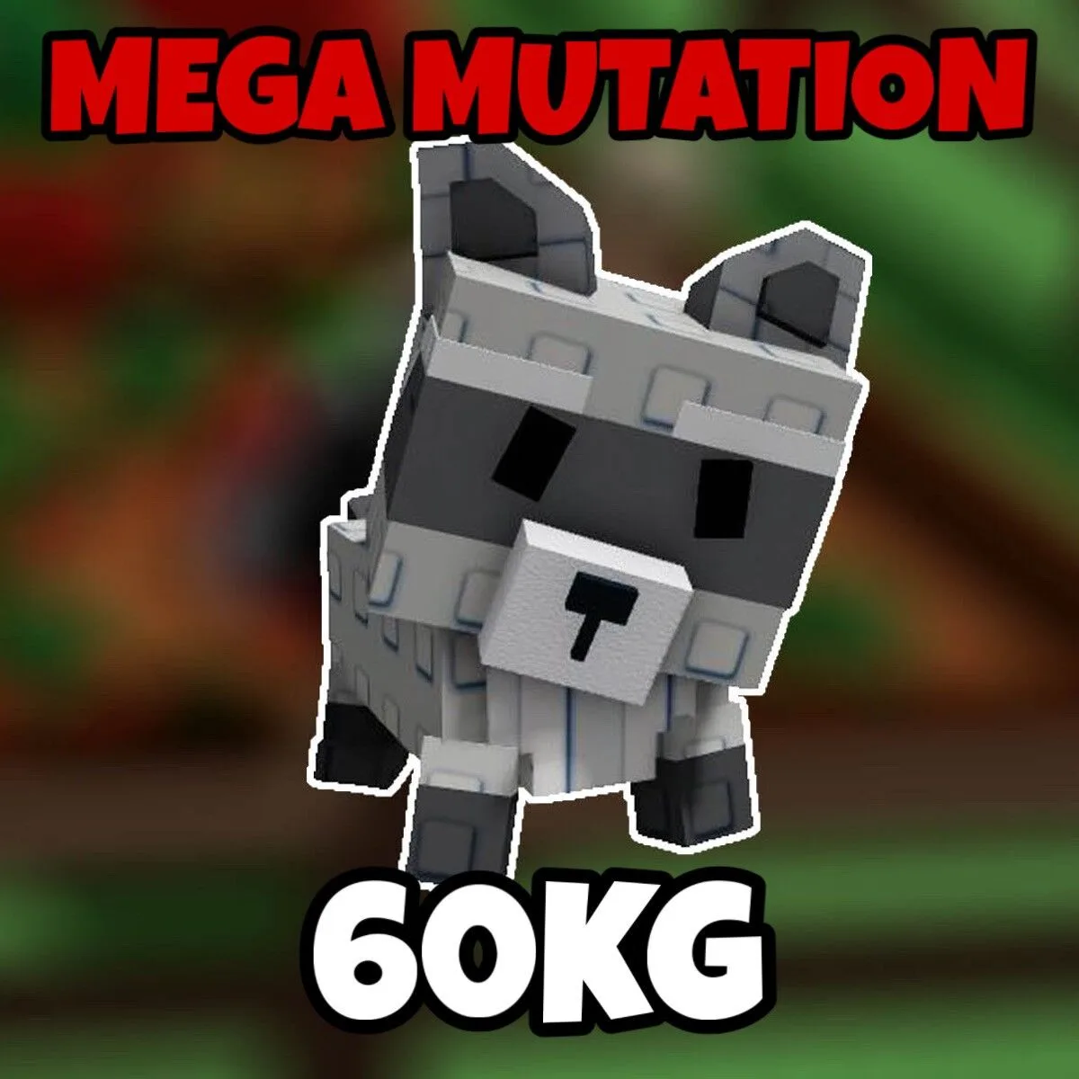 60KG Huge Mega Raccoon — Account account