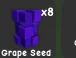 Grape Seed — Account account
