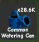 x1 Common Watering Can