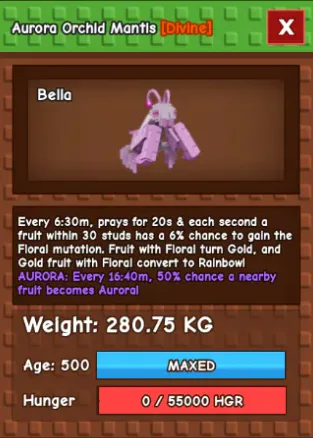 HUGE ORCHID MANTIS NM / VENOM / EVER 280KG+ AGE 500