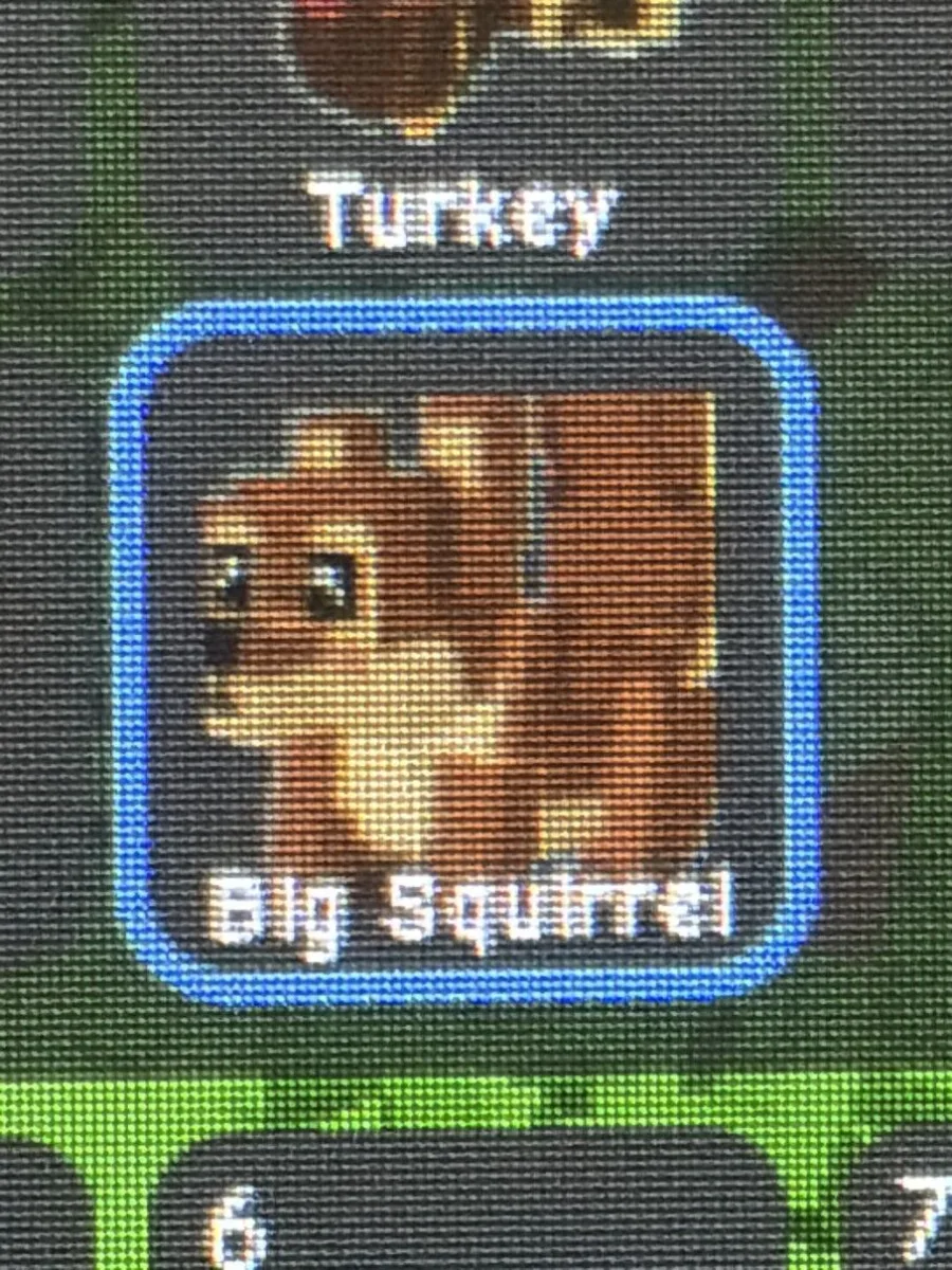Squirrel (Legendary)