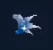 Moon Bloom Seed (Super)