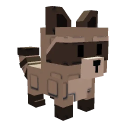 Raccoon 250KG
