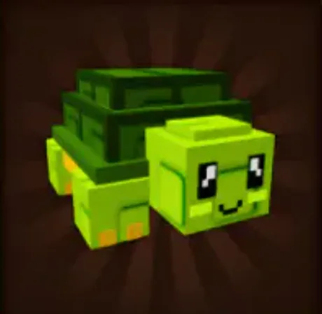 Turtle — Account account
