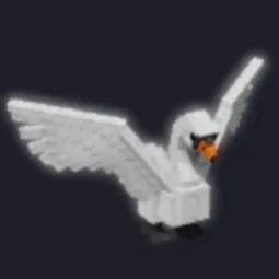 Swan