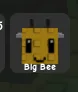 Bee — Account account