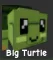 Turtle (Rare)