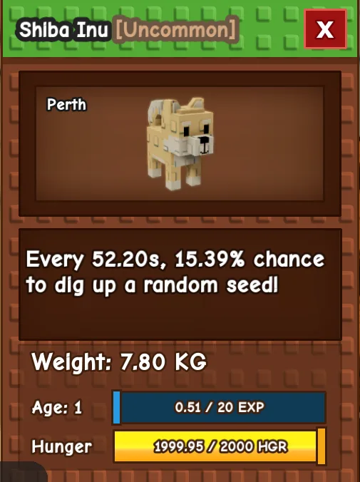 TITANIC SHIBA INU AGE 1 7.80KG GAG PET INSTANT DELIVERY — Account account