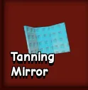x2 Tanning Mirror (Read Description) Instant Delivery