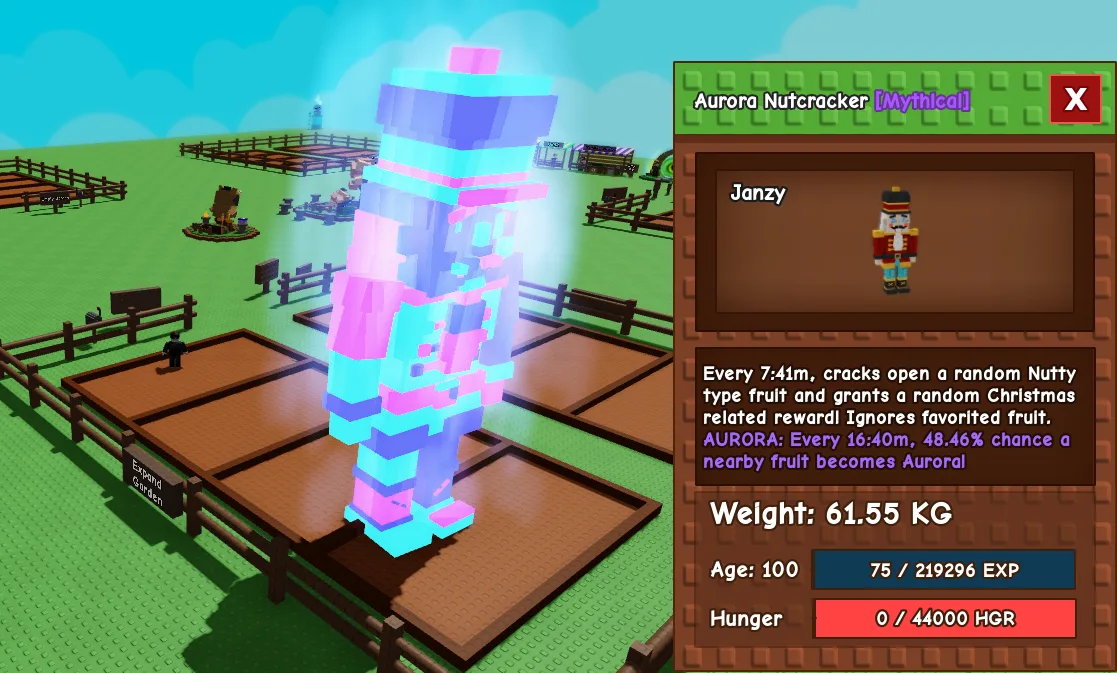 61.55kg Age 100 Aurora Nutcracker