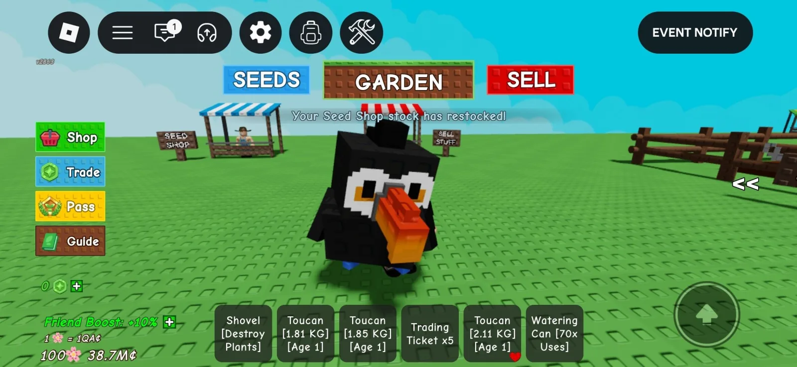 Toucan 1 - 2.5 kg — Account account