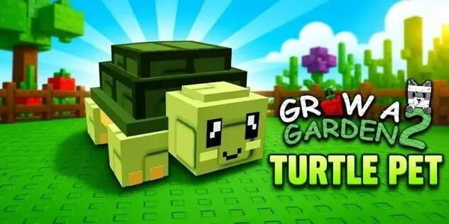 Turtle (Rare)
