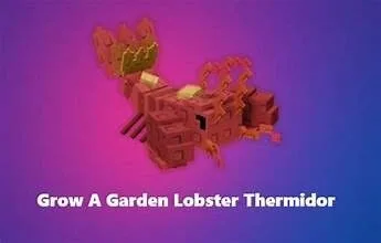 READY HUGE 60/61 KG LOBSTER THERMIDOR Grow A Garden