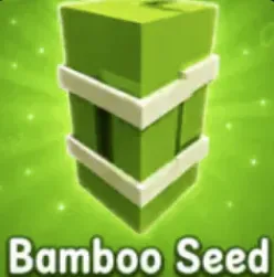 Bamboo Seed — Account account