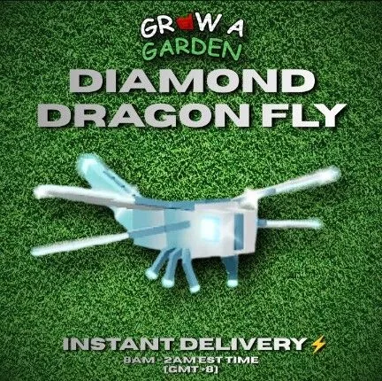 DIAMOND DRAGONFLY — Account account