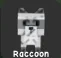 Raccoon (Super) — Account account