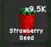 Strawberry Seed — Account account