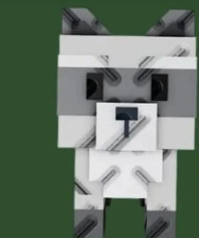 Raccoon (Super)