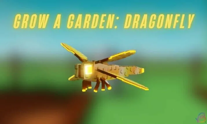 Golden Dragonfly GROW A GARDEN