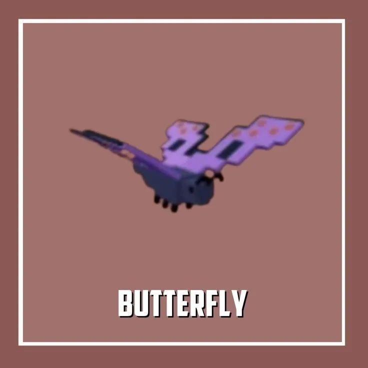 Butterfly — Account account