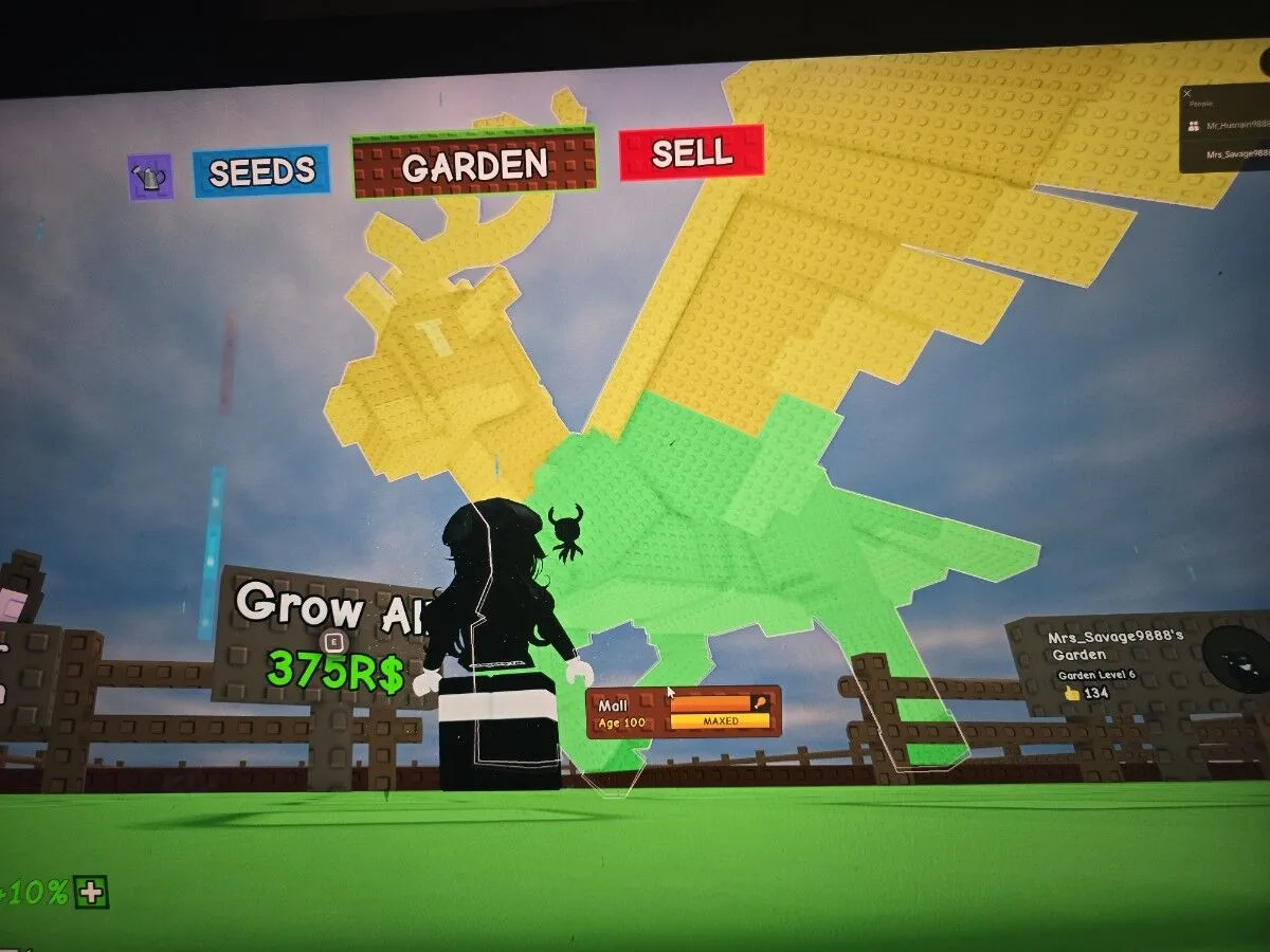 GLIDED CHOC PERYTON WITH EVERCHANTED PET LIMITED BEST PET 60-61 KG AGE 100 BIG VISUAL GROW A GARDEN — Account account