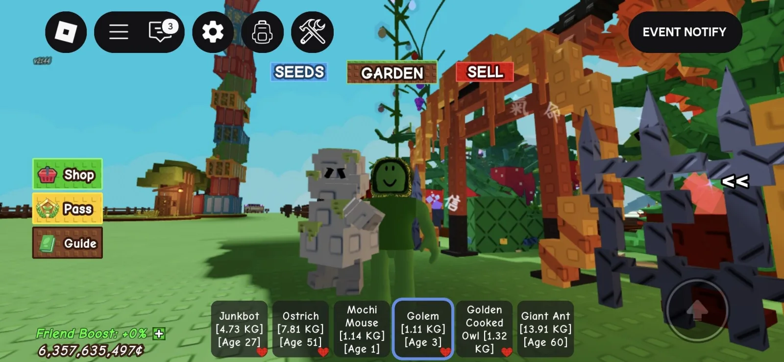 Golem 1.11kg age 3