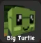 Turtle (Rare)