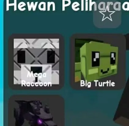 Raccoon (Super)