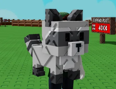 Raccoon