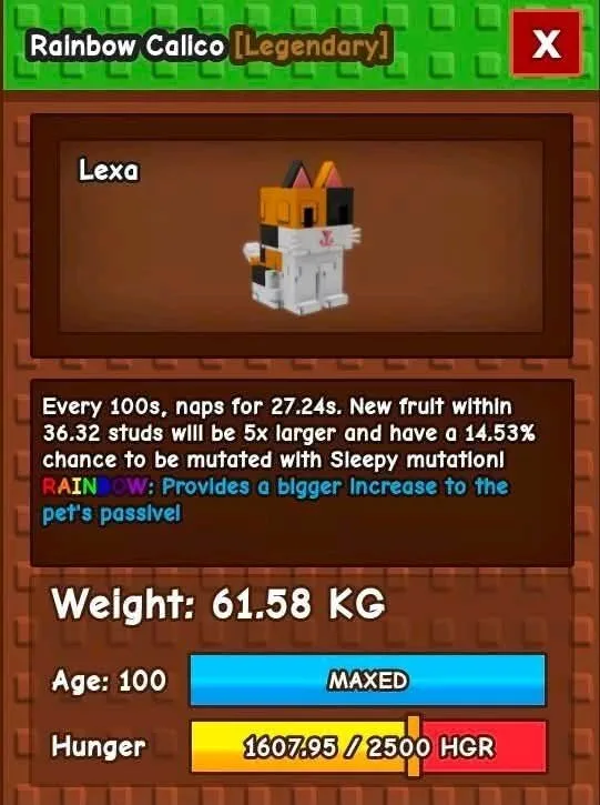 CALICO CAT (60-62KG SUPER RARE PET) FAST DELIVERY CHEAPEST — Account account