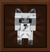 Raccoon (Super) — Account account