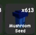 Mushroom Seed — Account account