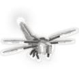 Silver Dragonfly