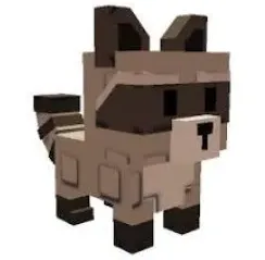 Raccoon (Mythic) — Account account