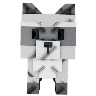 Raccoon (Super)