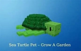 READY BLOSOMMING TITAN SEA TURTLE 80 KG( VERY RARE) Grow A Garden