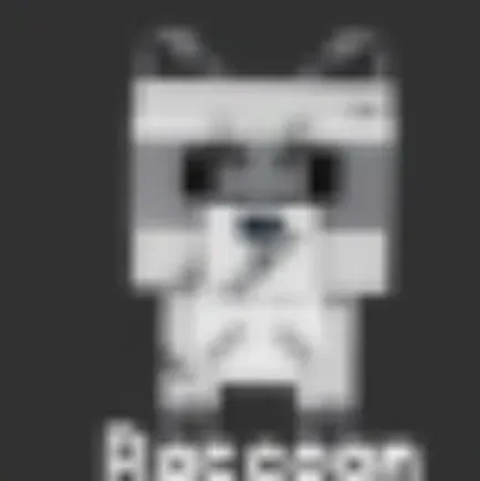 Raccoon (Super)