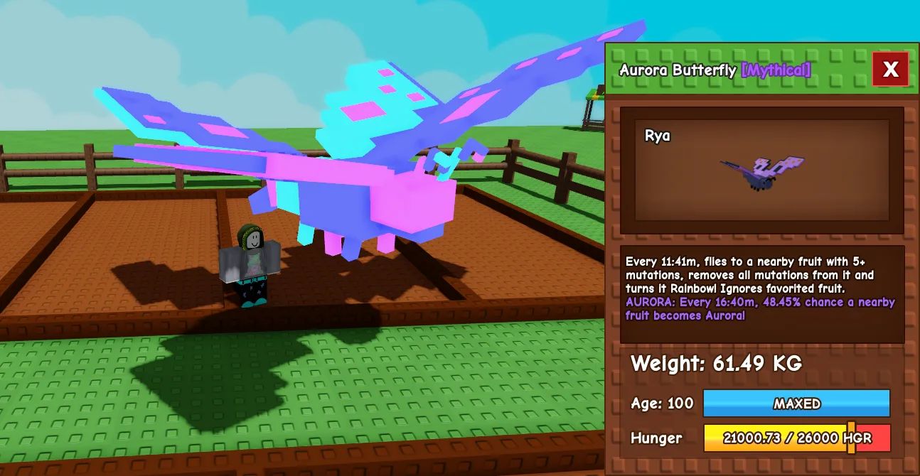 61.49kg Aurora Butterfly — Account account