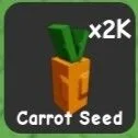 Carrot Seed (Common)