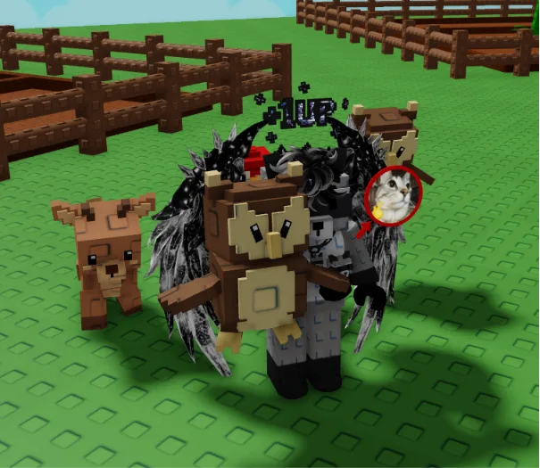OWL PET — Account account