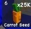 Carrot Seed — Account account