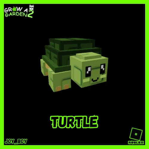 Cute Turtle (Rare)