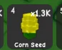 Corn Seed