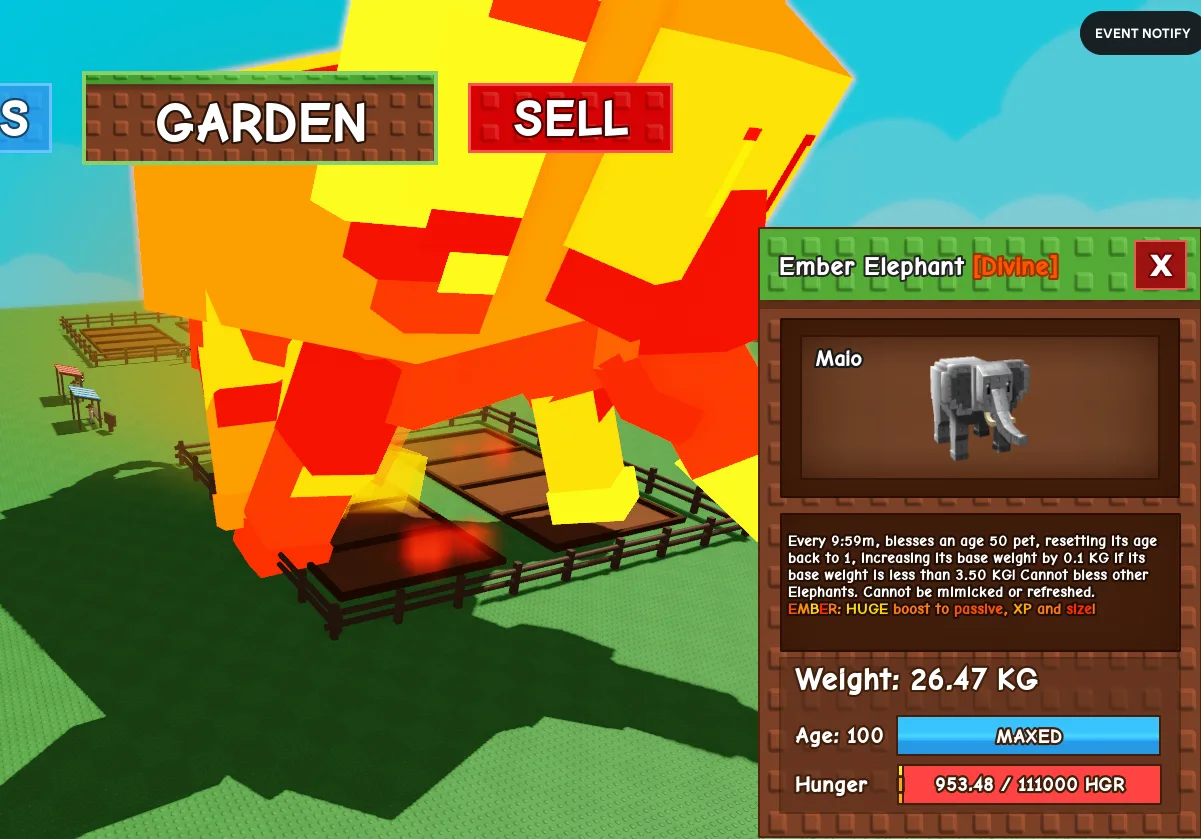 26.47kg Ember Elephant — Account account