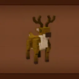 Reindeer