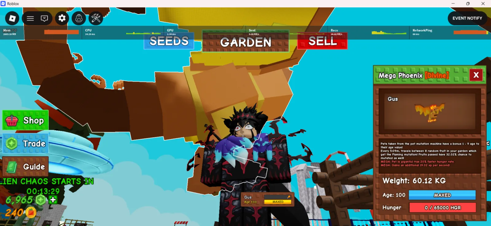 60kg MEGA HUGE PHOENIX ( pet is mutated by mega mutation and huge size of 60kg. that's is the reason make him big) — Account account